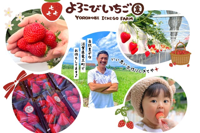 【滋賀県・竜王町・いちご狩り】1時間食べ放題！竜王ICすぐ！希少な「天使の白いちご」にも出会えるかも♪