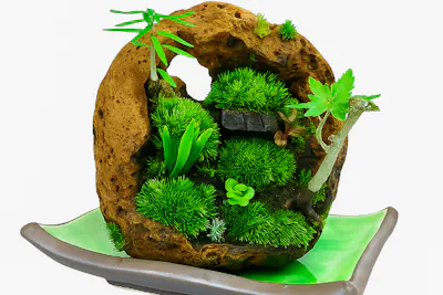 愛知県.豊川市】桜島の溶岩石でつくる、生命の風景──苔盆景体験 60分