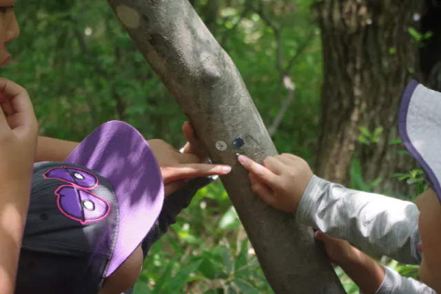 【那須】ガイドウォーク「子ども森たんけんコース（1.5時間）～さがして、さわって、大発見！～」