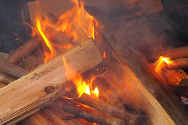 【東京・西多摩・自然体験】【ペット同伴OK・10名以上で貸切】東京・檜原村で焚火デーキャンプ＆森林リトリート（焚き火昼食付き）