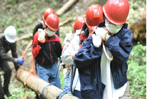 【東京・檜原村・自然体験】『焚火の最初から』：薪の元となる原木を伐採するところまで「焚火」を遡って体験する