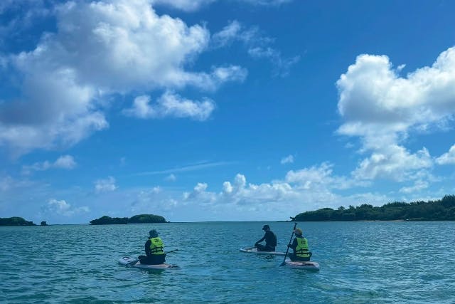 【海亀90％遭遇】無人島SUP＋シュノーケル《写真付き》