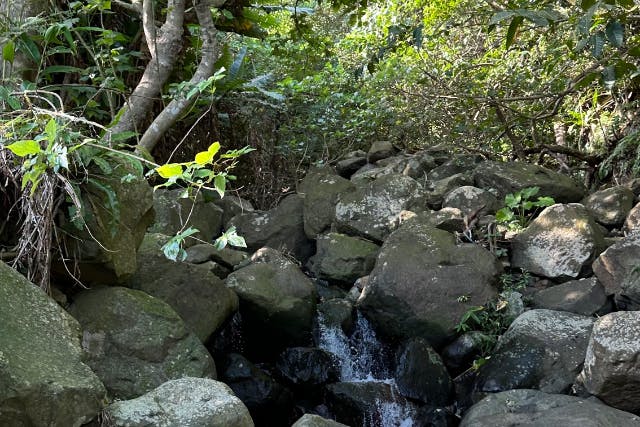 【秘境探検】旧下阿嘉集落＆神秘の滝トレッキング《ガイド同行》