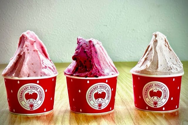 【群馬】いちご狩り30分食べ放題！こだわりの高設栽培で楽々いちご狩り♪☆併設ジェラート店でのジェラート50円オフの特典付き☆