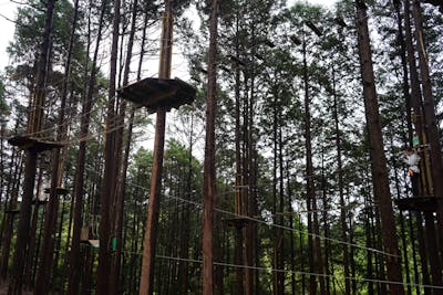 フォレストアドベンチャー・おおむら長崎｜ネット予約ならアソビュー！