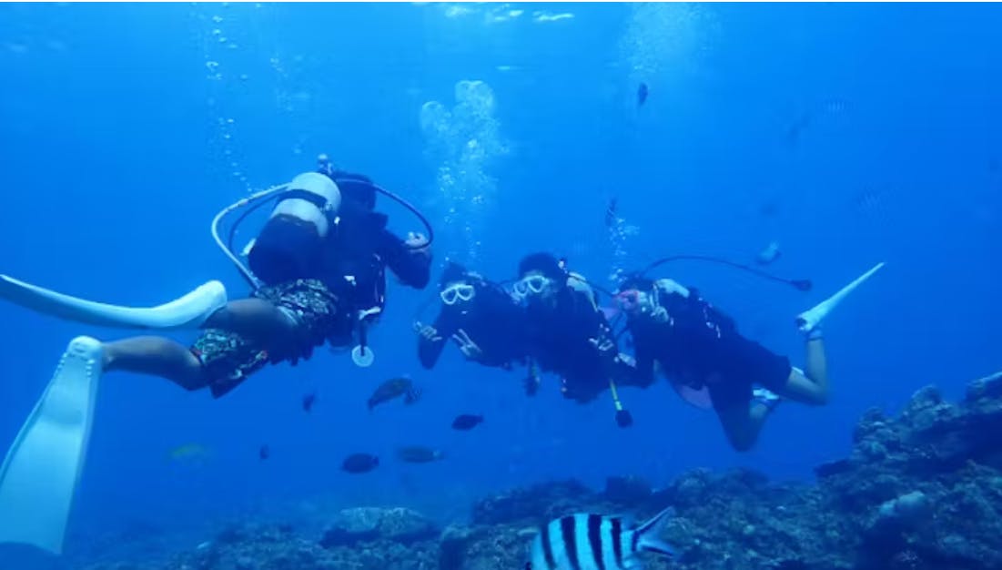 B-nature（ビーネイチャー）