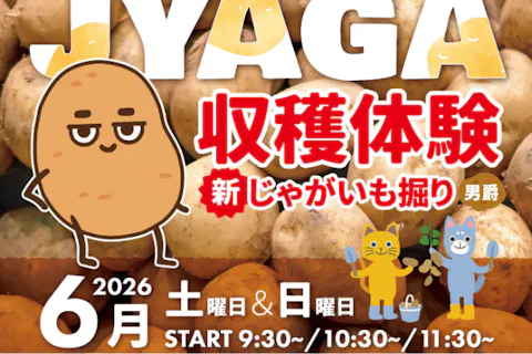 6月～土日開催♪【収穫体験】じゃがいも掘り！