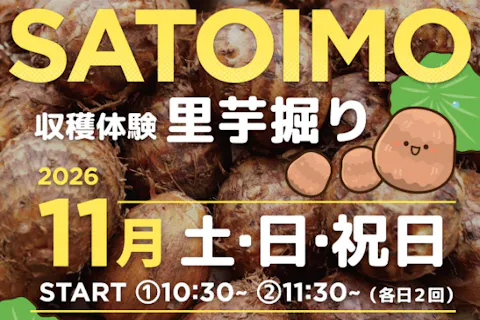 11月～★土日祝開催★【収穫体験】さといも掘り！