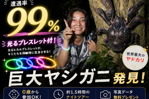 6月〜10月限定】お子様に大人気☆光るブレスレットをつけて夜の