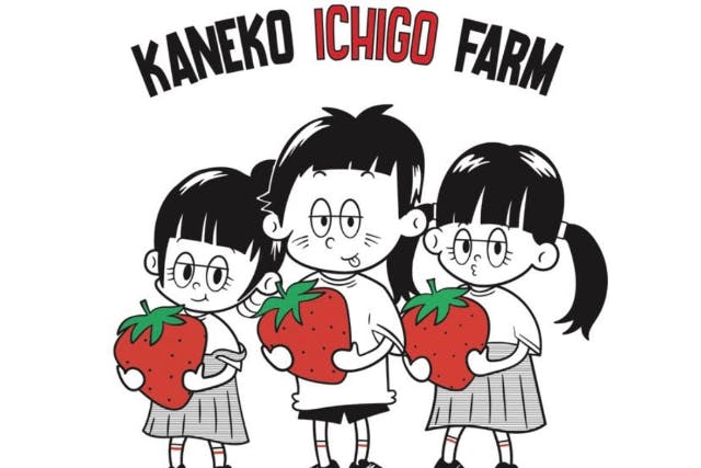 千葉県八千代市にあるいちご農園です！ 甘くて香り高い苺をご提供できるように心がけております。 観光農園では、高設栽培により摘み取りも楽々で 小さなお子様からご年配の方、カップル＜練乳かけ放題・30分＞