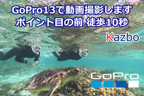 【鹿児島・奄美大島・シュノーケリング】ウミガメシュノーケル、奄美大島でウミガメシュノーケルポイントは店舗前歩いて0分‼　GoPro13-5K動画口コミでプレゼント