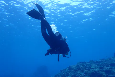 【沖縄北部・瀬底島~水納島・離島ファンダイビング/3時間プラン】県内最上級の透明度！ライセンス保有者向けファンダイビング（2dive/3時間プラン）