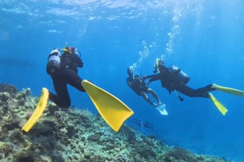 【沖縄北部・瀬底島~水納島・離島ファンダイビング/3時間プラン】県内最上級の透明度！ライセンス保有者向けファンダイビング（2dive/3時間プラン）