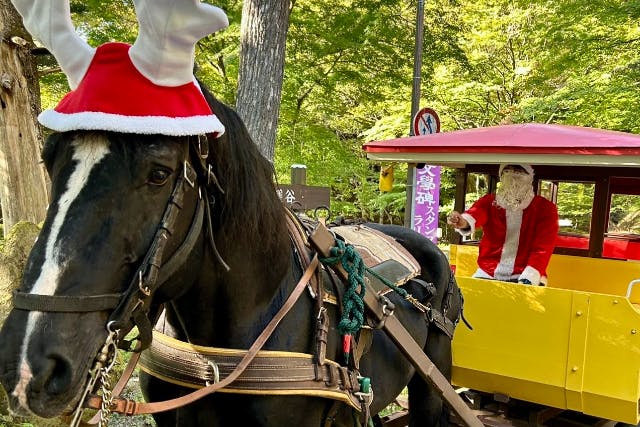 【栃木・那須塩原/湯っ歩の里発】｜期間限定運行！観光馬車「トテ馬車」体験（語り部ガイド付き）