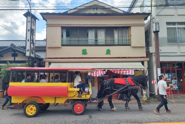 【栃木・那須塩原/塩原もの語り館発】｜期間限定運行！観光馬車「トテ馬車」体験（語り部ガイド付き）
