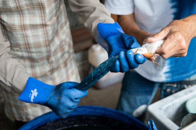 草木染でオリジナルのスカーフづくり体験