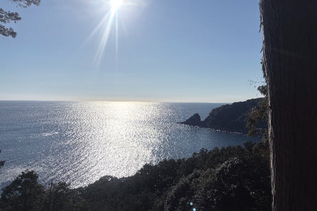 【三重県】尾鷲！紀伊半島の秘境へ！山と海が出会う道！頂山×オハイ絶景周回！冬場でも黒潮の影響で暖かい！！