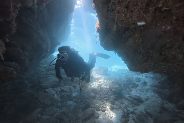 【沖縄北部・瀬底島~水納島・離島ファンダイビング／3時間プラン】県内最上級の透明度！ライセンス保有者向けファンダイビング（2dive/3時間プラン）