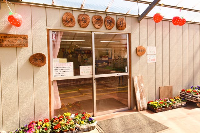 【神奈川県・横浜市青葉区・いちご狩り】6品種以上食べ比べ＆立ったまま楽々！減農薬で安心30分食べ放題