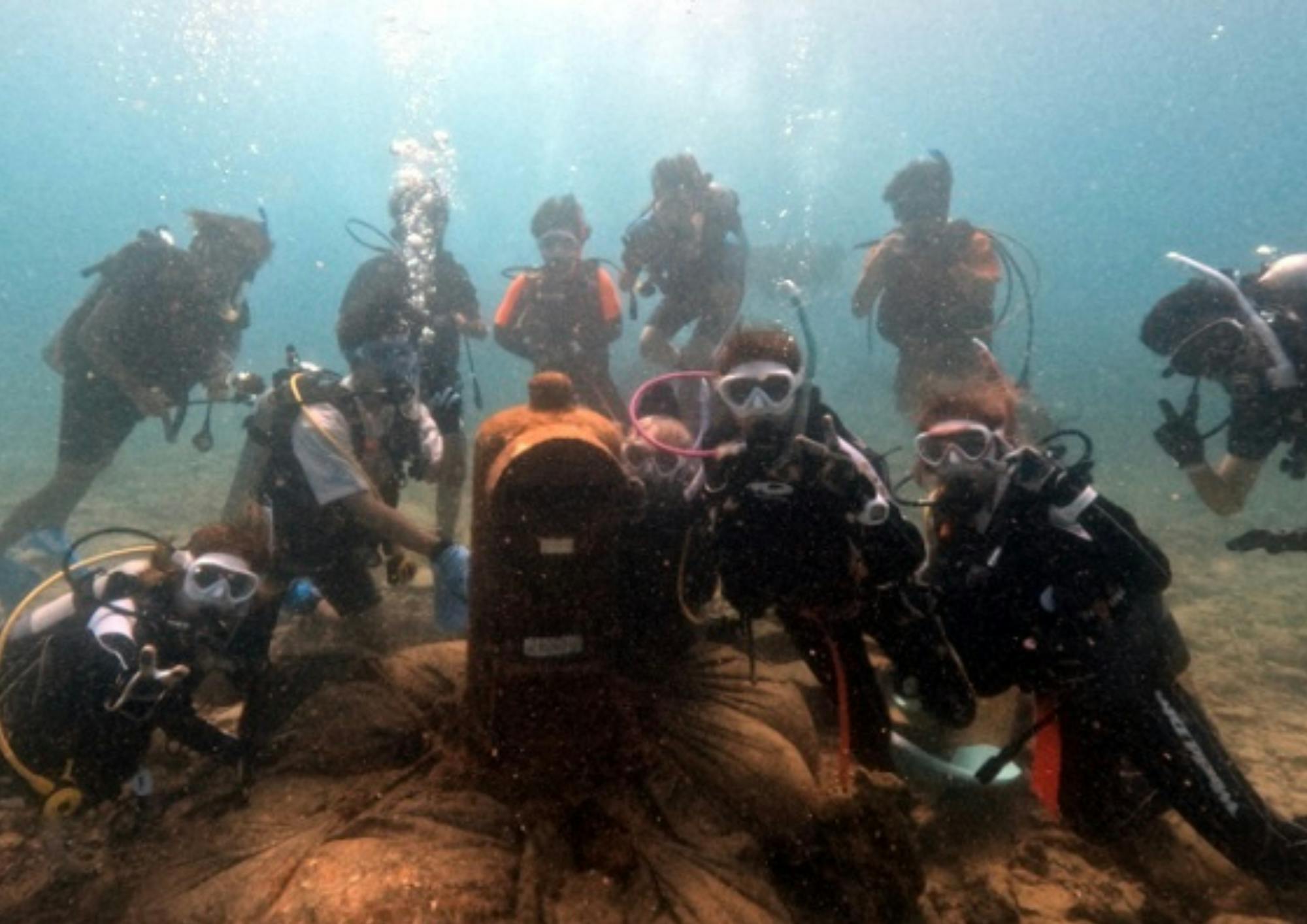 真心ダイバーズ