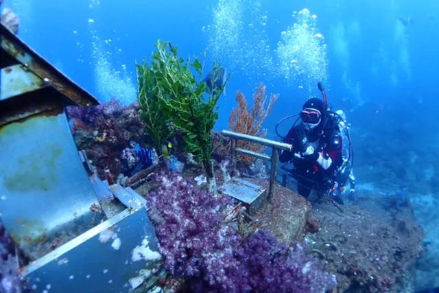 【日帰り】千葉県波左間2ボートダイブ　日本で唯一の海底神社！房総半島の名物ポイント「波左間」ツアー！ 千葉県舞浜・浦安・船橋・幕張
