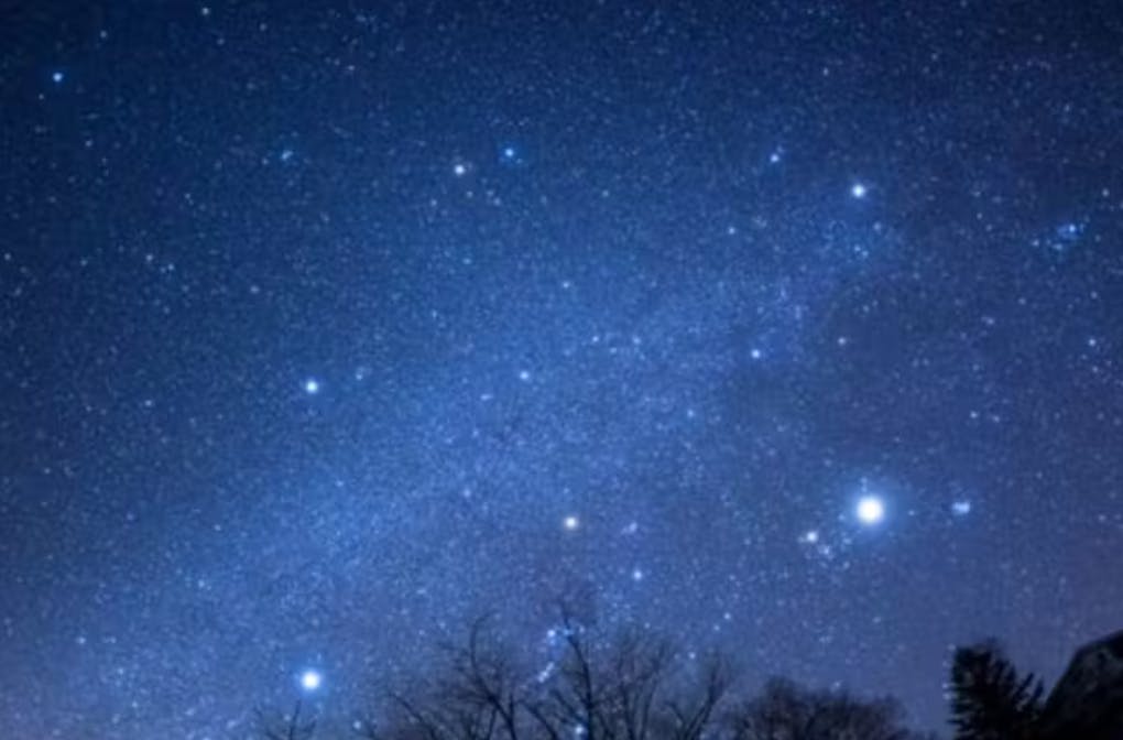 アースアウトドアツアーズ