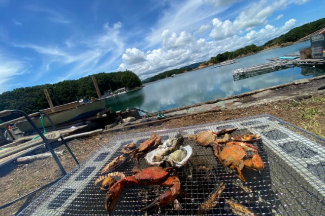 子どもの城1日体験コース