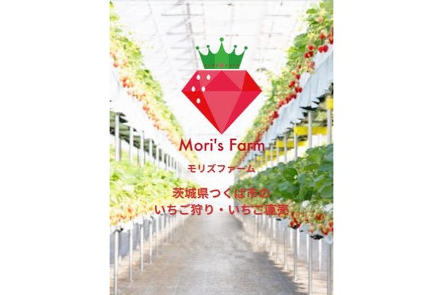 【茨城県・つくば市・いちご狩り】最大8品種いちごを食べ比べ！45分食べ放題・練乳付け放題！女性・カップル・ファミリーにオススメ！！