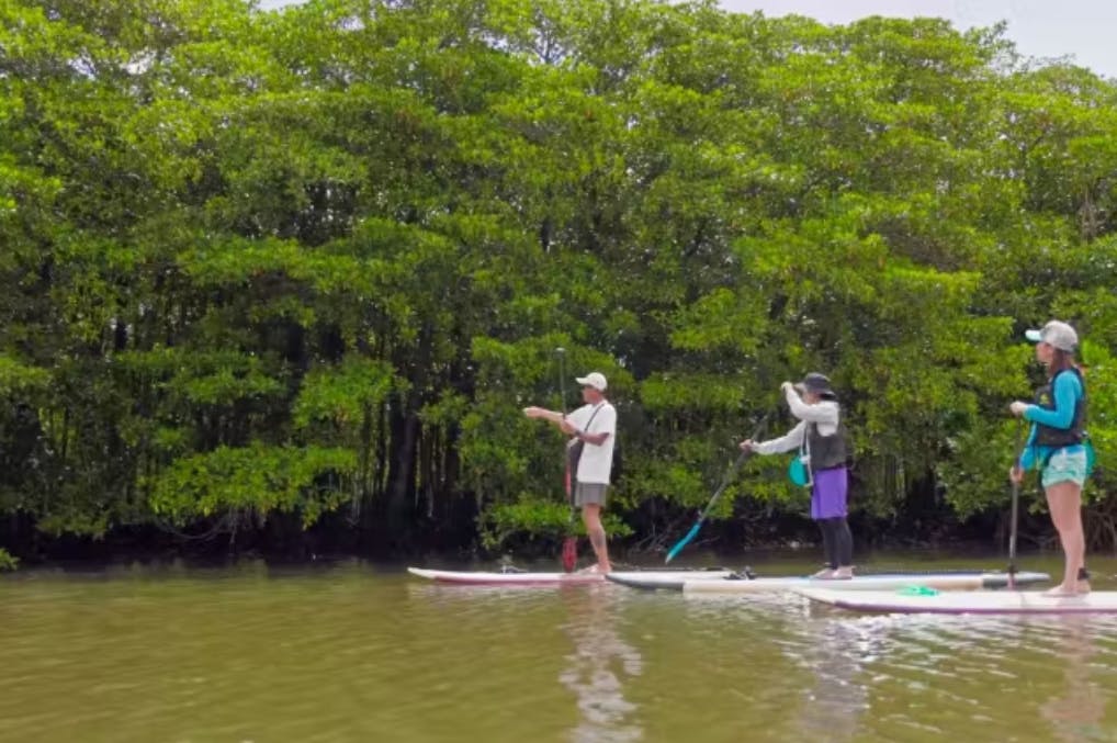 石垣島ドリーム観光