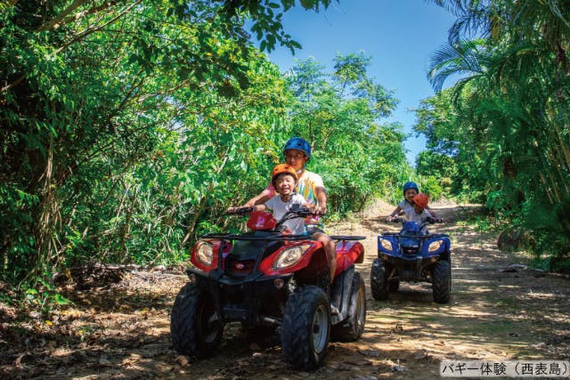 【バギー体験２島めぐり】西表島バギー体験と由布島＜乗船券／ランチ付／E-2B＞