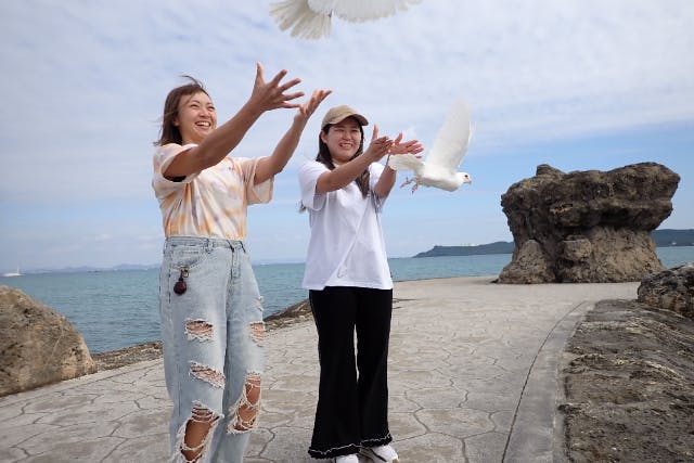 【沖縄・海中道路で願い事を飛ばそう！】青い海！青い空！幸運の白い鳩のリリース インスタ映え！