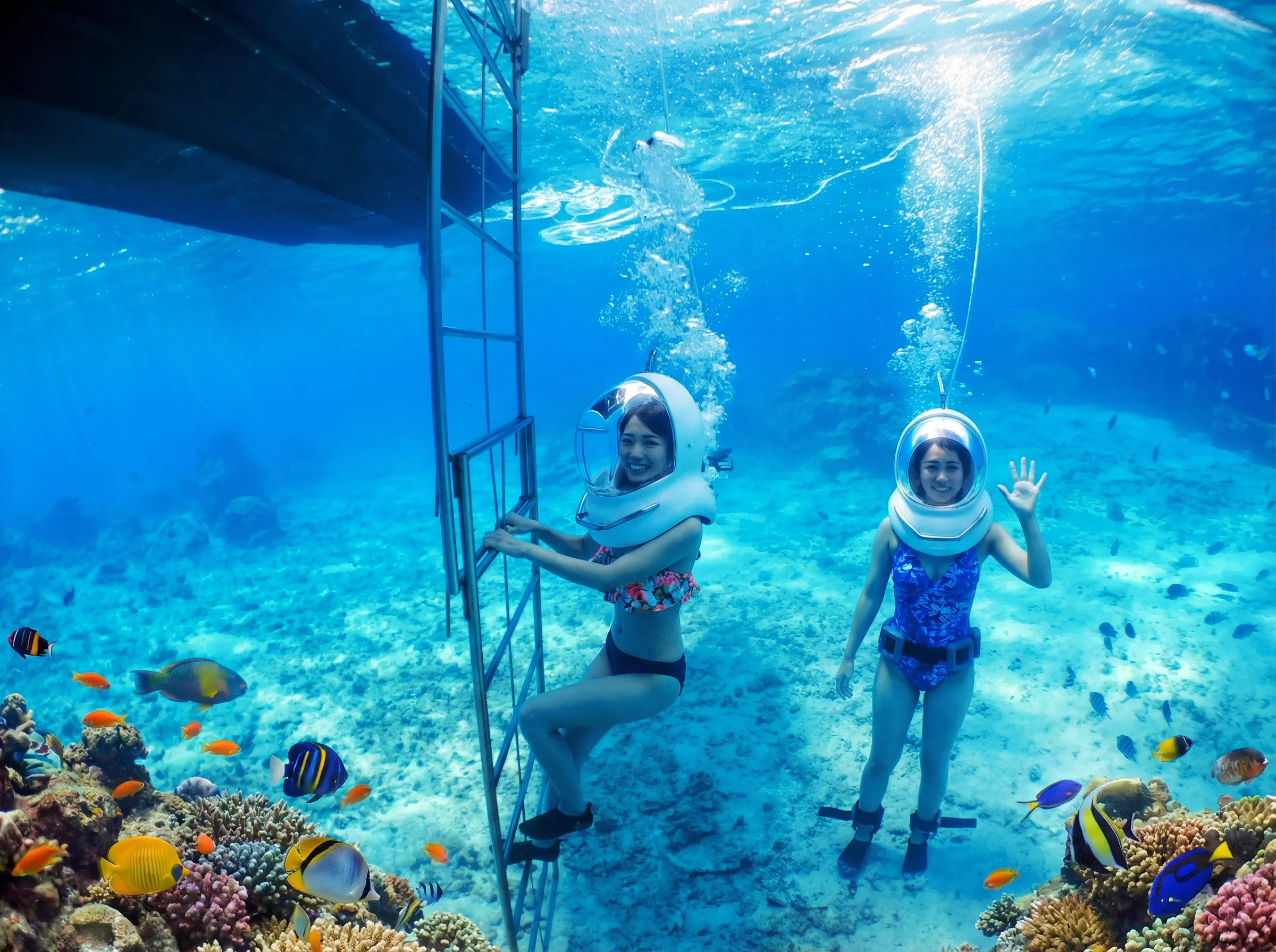 沖縄｜青の洞窟＆シーウォーク専門店 ブルーオーシャン