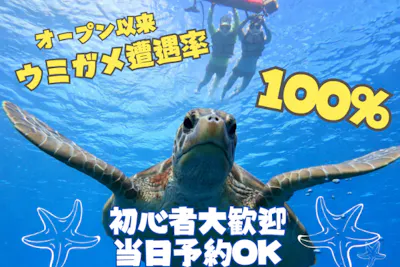 石垣島/1時間半】竹富島往復乗船チケット付き！青の洞窟＆ウミガメ