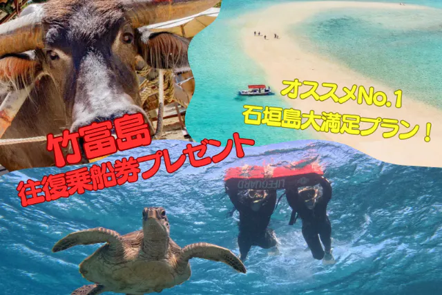 石垣島/3時間】幻の島上陸×ウミガメシュノーケル☆竹富島往復乗船