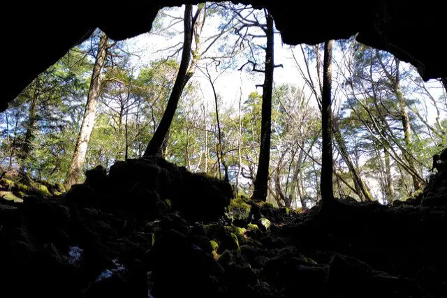 【どっぷり富士山麓自然体験】「青木ヶ原樹海の神秘」と「富士山☆樹海」の雄大な景色を楽しみます！