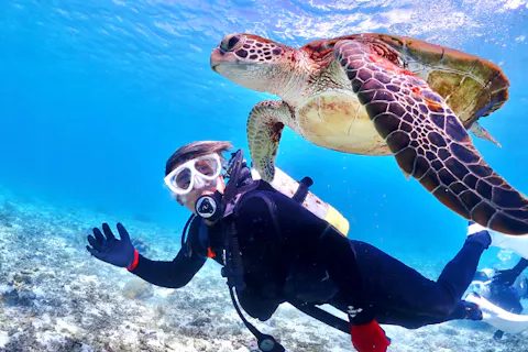【沖縄・宮古島・ダイビング】＜高性能レンズ付きカメラ撮影＞【温水シャワー付き！】初めてでも安心！貸切ビーチ体験ダイビング（水中写真付き）