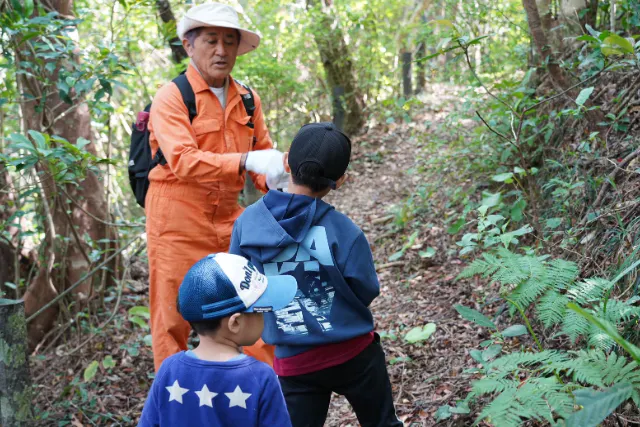 やんばる世界自然遺産 ネクマチジ岳トレッキング×バードコール体験