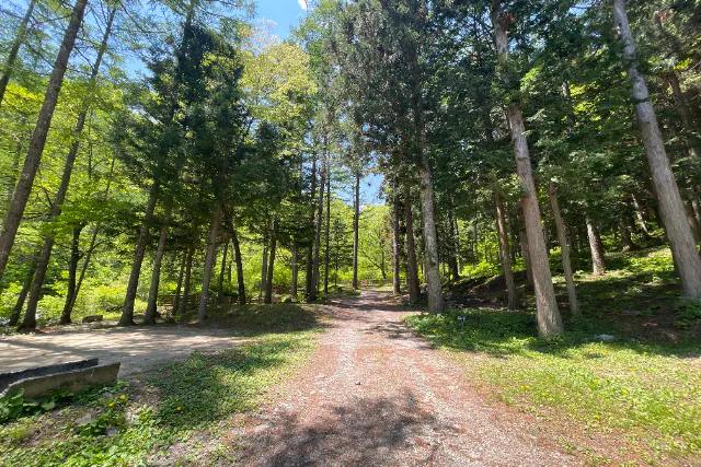 【テントサウナ付きキャンププラン】オートサイト-森-