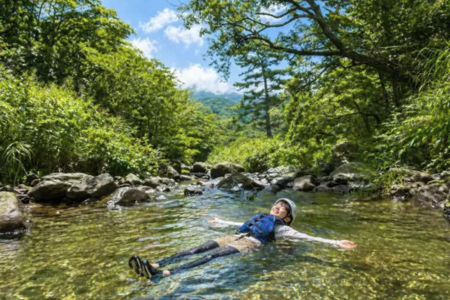 【神奈川・湯河原・リバートレッキング】水温18℃の清流でリフレッシュ!「沢散歩」ツアー(半日)小学3年生から参加OK!