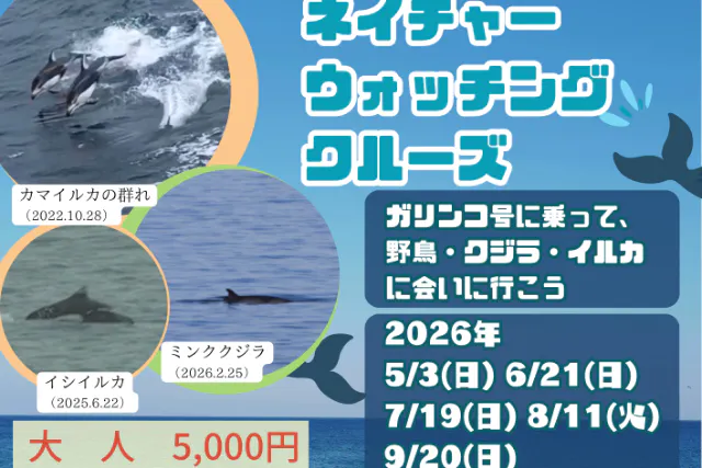 ネイチャーウォッチングクルーズ
