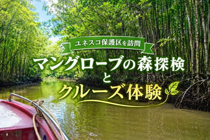 【ユネスコ保護区を訪問】マングローブの森探検とクルーズ体験　＜日本語ガイド＆昼食付き＞