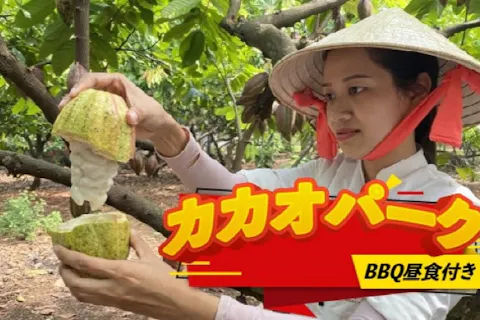 チョコレートができるまでを体感！カカオ農園＆工房見学とBBQランチ＜日本語ガイド＆昼食付き＞の画像を表示しています