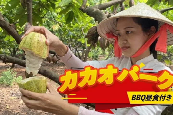 チョコレートができるまでを体感！カカオ農園＆工房見学とBBQランチ＜日本語ガイド＆昼食付き＞