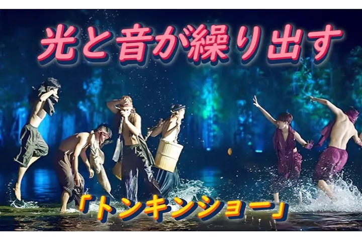 【文化鑑賞】光と音が繰り出すLIVEパフォーマンス 「トンキンショー」