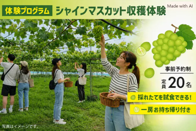 【催行確定】＜8/22(土)限定開催＞松原産シャインマスカット初収穫体験