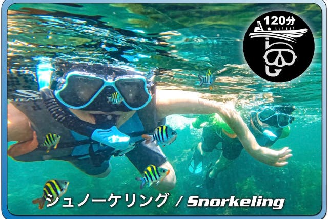【千葉・勝浦】BOAT SNORKELLING 関東の沖縄で２時間シュノーケリング体験 20 名まで