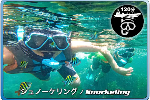 【千葉・勝浦】BOAT SNORKELLING 関東の沖縄で２時間シュノーケリング体験 20 名まで