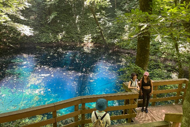 【定刻出発プラン】十二湖満喫コース　＊期間限定2025/5/31までの期間限定
