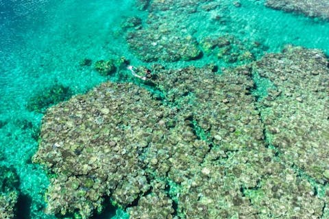 【恩納村発!! 絶景2ヶ所シュノーケリングクルーズ＋神秘的なブルーアイズや珊瑚群落へ】初心者大歓迎！追加料金無し!ドローン＆水中撮影無料★SUPや水中スクーターの嬉しいレンタルアイテムも！のプラン詳細