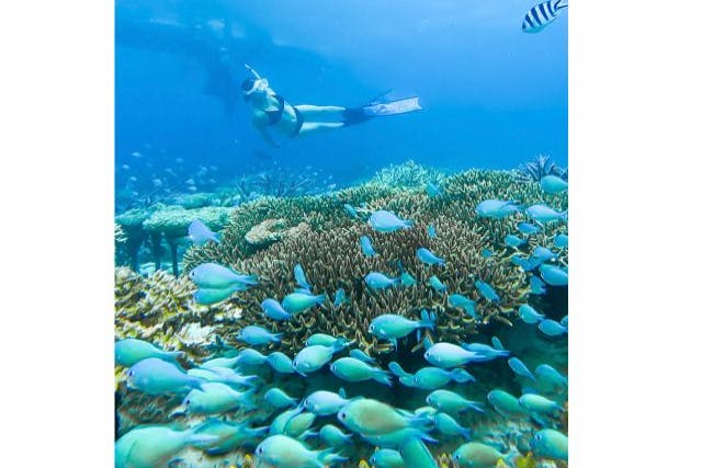『恩納村発!透き通る海と天然水族館ボートシュノーケルツアー（90分）1日1便』初心者大歓迎！追加料金一切なし！写真撮影込み♪のプラン詳細